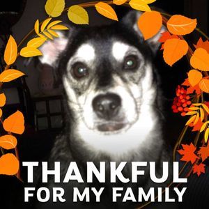 Meet your Posher, Patti